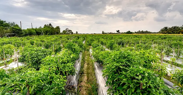 APLICACIÓN DE LA NORMATIVA BÁSICA DE PROTECCIÓN MEDIOAMBIENTAL EN EL MANTENIMIENTO DE MÁQUINAS AGRÍCOLAS DE ACCIONAMIENTO Y TRACCIÓN