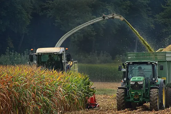 NORMATIVA BÁSICA RELACIONADA CON LAS PREPARACIÓN DEL TERRENO Y LA PLANTACIÓN DE FRUTALES