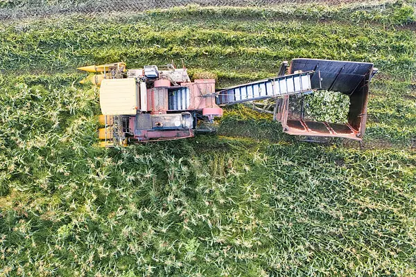 APLICACIÓN DE LA NORMATIVA DE SEGURIDAD Y DE PROTECCIÓN MEDIOAMBIENTAL EN EL MANEJO Y MANTENIMIENTO DE LOS EQUIPOS DE APLICACIÓN DE FITOSANITARIOS