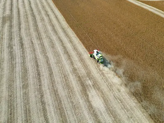 PRODUCTOS AGRARIOS SUSCEPTIBLES DE SER CARGADOS, TRANSPORTADOS Y DESCARGADOS CON MEDIOS MECÁNICOS