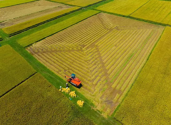 MEDIDAS BÁSICAS RELACIONADAS DE PRL, SEGURIDAD Y MEDIOAMBIENTE Y DE PROTECCIÓN MEDIOAMBIENTAL EN ACTIVIDADES AGRÍCOLAS