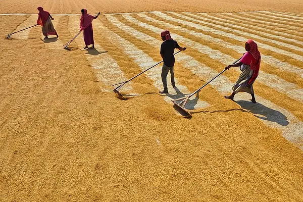 MÁQUINAS AGRÍCOLAS DE ACCIONAMIENTO Y TRACCIÓN