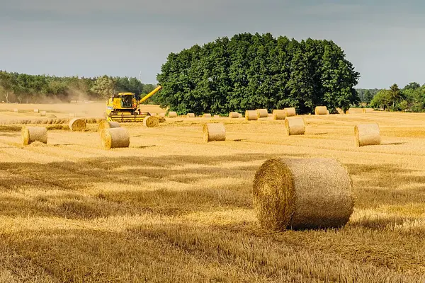 PREPARACIÓN Y MANEJO DE LOS EQUIPOS DE SIEMBRA Y PLANTACIÓN EN AGRICULTURA
