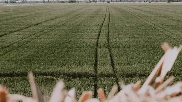 APLICACIÓN DE LA NORMATIVA DE SEGURIDAD Y DE PROTECCIÓN MEDIOAMBIENTAL EN EL MANEJO Y MANTENIMIENTO DE LOS EQUIPOS DE CARGA, TRANSPORTE Y DESCARGA DE PRODUCTOS AGRARIOS
