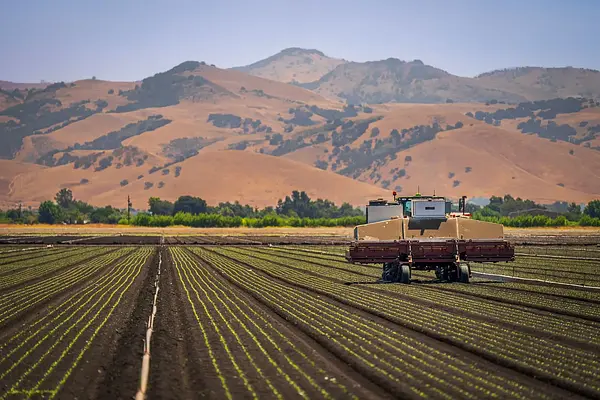 APLICACIÓN DE LA NORMATIVA ESPECÍFICA RELACIONADA CON LA PRODUCCIÓN DE PRODUCCIÓN DE ANIMALES DE RECRÍA Y CEBO