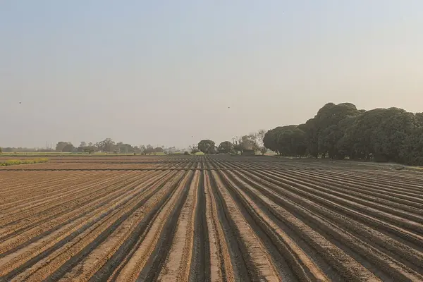 APLICACIÓN DE LA NORMATIVA DE SEGURIDAD Y DE PROTECCIÓN MEDIOAMBIENTAL EN LA PRODUCCIÓN DE ANIMALES DE RENUEVO, DE REPRODUCTORES, CRÍAS Y DE PRODUCCIÓN DE LECHE