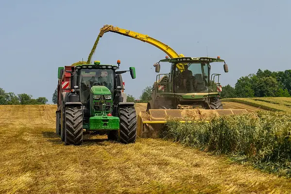 PLAN DE PRODUCCIÓN DE LA EXPLOTACIÓN DE RECRÍA Y CEBO