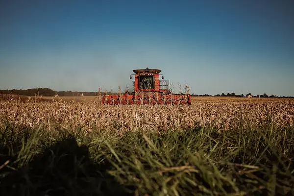 MANEJO DE HEMBRAS DURANTE LA GESTACIÓN, EL PARTO Y LA LACTANCIA DE CRÍAS