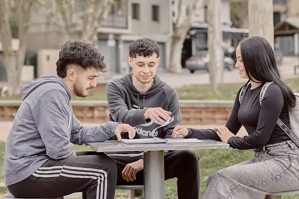 Organización de Funciones y Tareas ( Tiempos y Tareas en Equipo)