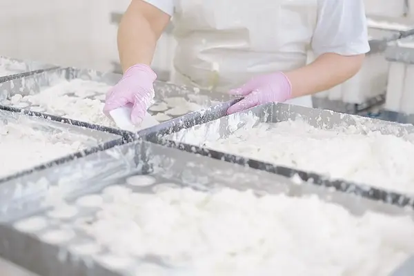 CALIDAD Y SEGURIDAD EN CARNICERÍA E INDUSTRIA ALIMENTARIA