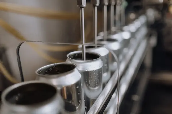 ELABORACIÓN DE CONSERVAS Y COCINADOS CÁRNICOS