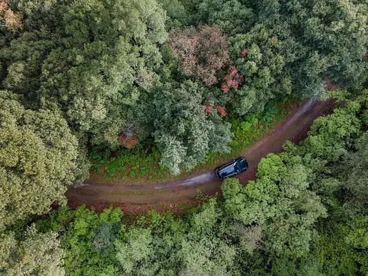 ESTUDIO DEL MEDIO FISICO. CRITERIOS Y BASES DE LA EVALUACIÓN DE IMPACTO AMBIENTAL