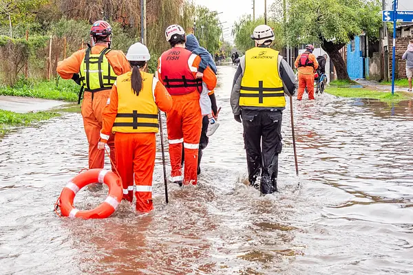 NORMATIVA BÁSICA VIGENTE EN EL ÁMBITO EUROPEO, NACIONAL, AUTONÓMICO Y LOCAL RELACIONADA CON EL CONTROL SANITARIO DE ANIMALES