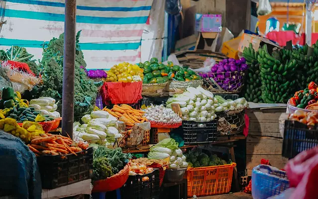 Manipulador de Alimentos - Productos Lacteos