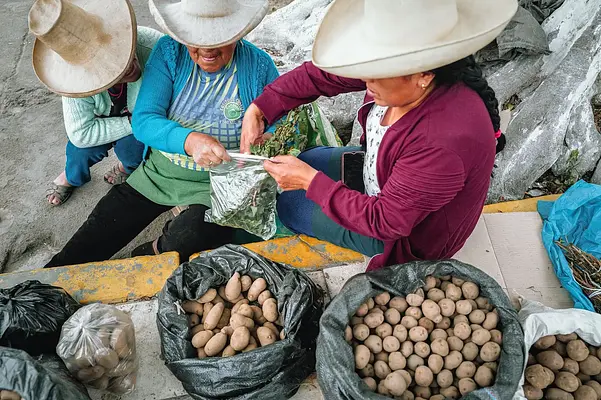 Normativa Básica Imprescindible para la Correcta Gestión Integral de Buenas Prácticas de Fabricación y Manipulación de Productos Alimenticios en un Establecimiento de Alimentación