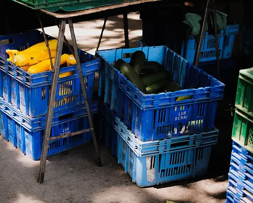 Manipulador de alimentos. Sector Bebidas