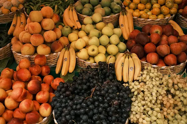 Manipulador de alimentos. Sector Industria del aceite y grasas