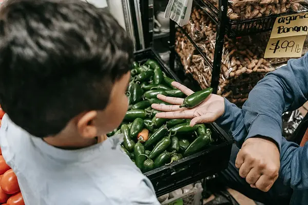 Manipulador de alimentos. Sector Pequeño comercio y ultramarinos