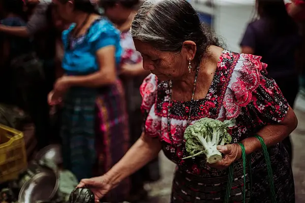 Creación de cartas y menús
