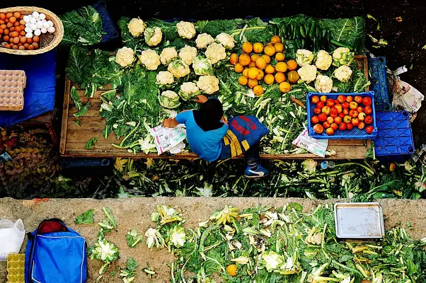 Manipulación en crudo y conservación de alimentos