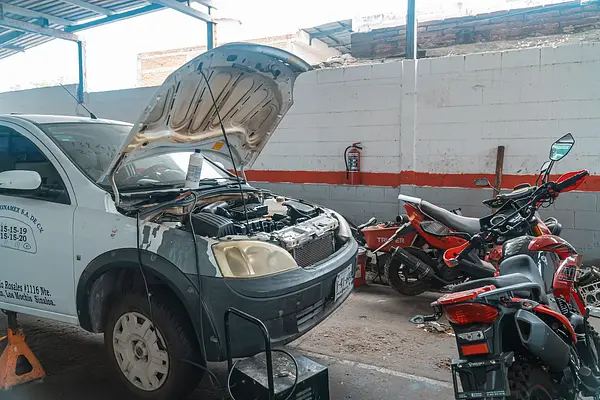 Impacto Ambiental y Sostenibilidad