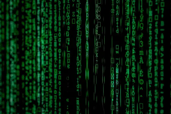 Transformación digital para pymes (experiencia de cliente y de producto)
